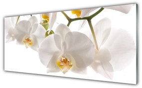 Obraz plexi Orchidea kvety príroda 125x50 cm