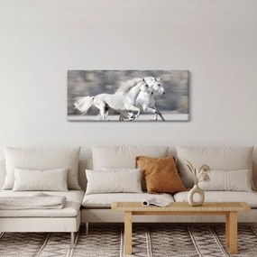 Obraz - Biele kone v zime (120x50 cm)