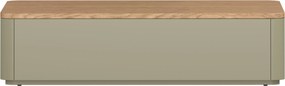 Konferenčný stolík Elivo 100x60 cm so zásuvkami - eukalyptus / dub baltic dune