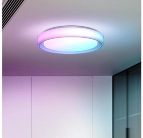 Solight WO8015 - LED RGB Stm. str. svietidlo FLOCO LED/30W/230V+RGB/6W+DO pr.40cm SL1610
