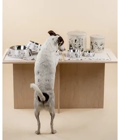 Set dóz na maškrty Moomin Pets 2 ks / 80. výročie