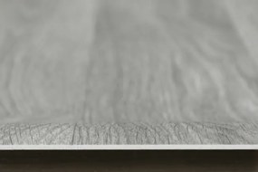 PVC podlaha Bingo Avoriaz 582 sivá