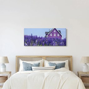 Obraz levanduľového poľa (120x50 cm)