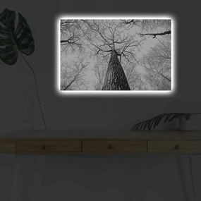 Maľba s LED osvetlením TREE ROOT 68 45 x 70 cm