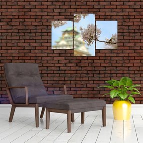 Obraz - Sakura (90x60 cm)