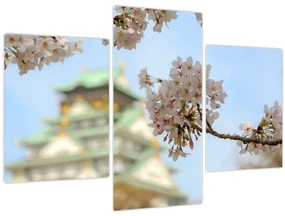 Obraz - Sakura (90x60 cm)