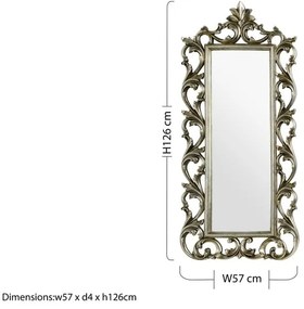 Nástenné zrkadlo 57x126 cm Champagne – Premier Housewares