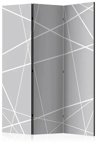 Paraván - Modern Cobweb [Room Dividers] Veľkosť: 135x172, Verzia: Obojstranný