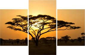 Obraz - Africká savana (90x60 cm)
