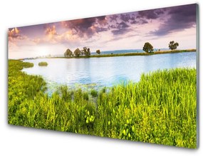 Skleneny obraz Tráva jazero príroda 100x50 cm