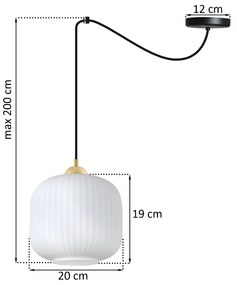Závesné svietidlo Riffle Spider 2, 1x biele sklenené tienidlo, b/g