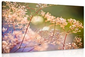 Obraz zátišie z kvetov - 120x80
