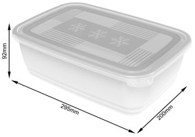 Plastové dózy do mrazničky, Rotho FREEZE, biela, 1 x 3,7l (30x20x9)