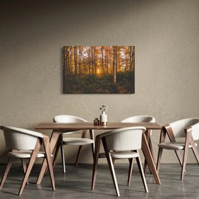 Obraz jesenného lesa (90x60 cm)