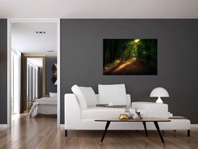 Obraz lesnej cesty (90x60 cm)