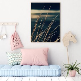 Plagát - Detail vodnej trávy (A4)