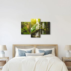 Obraz chameleóna (90x60 cm)