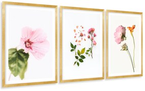 Gario Sada plagátov Kompozícia kvetov - 3 dielna Farba rámu: Zlatá, Rozmery: 135 x 63 cm