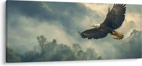 Obraz - Letiaci orol (120x50 cm)