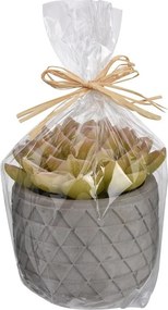 Darčeková sviečka Kaktus v kvetináči – typ 1, 14 cm