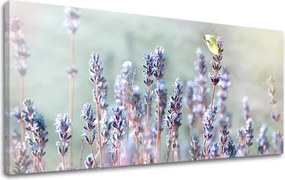 Obraz na stenu PANORÁMA KVETY KV077E13 - 70x140 cm