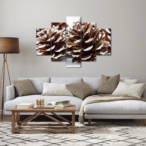 Obraz - Šišky (150x105 cm)