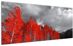 Obraz - Stromy vo farbe jesene (120x50 cm)