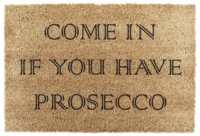 Rohožka z kokosového vlákna 40x60 cm Prosecco – Artsy Doormats