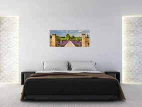 Obraz - Levanduľové cesty (120x50 cm)