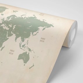 Samolepiaca tapeta decentná mapa sveta