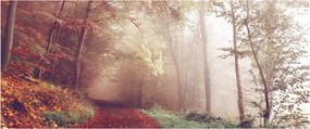 Obraz - Jesenná prechádzka lesom (120x50 cm)