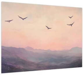 Obraz - Hejno vtákov II. (70x50 cm)