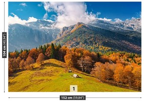 Fototapeta Vliesová Hory na jeseň 104x70 cm
