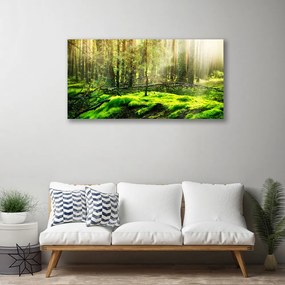 Obraz na plátne Mech les príroda 120x60 cm