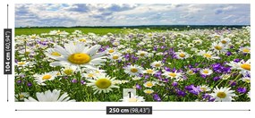 Fototapeta Vliesová Lúky a kvety 152x104 cm