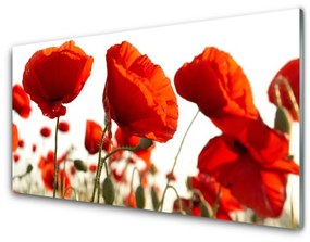 Obraz na skle Tulipány kvety 100x50 cm