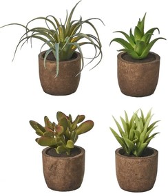 Umelé rastliny v súprave 4 ks (výška 10 cm) Cactus – Casa Selección