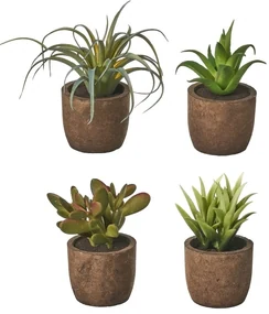 Umelé rastliny v súprave 4 ks (výška 10 cm) Cactus – Casa Selección