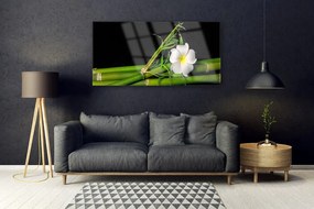 Obraz na akrylátovom skle Bambus kvet rastlina 120x60 cm