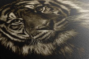 Obraz tiger v sépiovom prevedení - 120x80