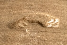 Koberec LAPIN Shaggy slonia kosť/hnedý protišmykový