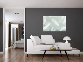 Obraz - Biele pierka (90x60 cm)