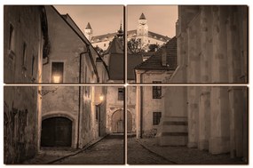 Obraz na plátne - Bratislava staré mesto s hradom vzadu 1265FE (120x80 cm)