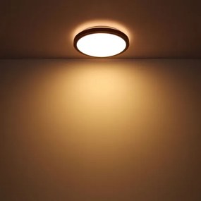 Globo 41764-12 - LED Stropné svietidlo BRUNO LED/12W/230V 307 mm 3000/4500/6000K