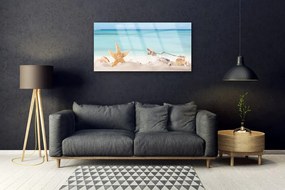 Skleneny obraz Hviezdice mušle pláž 100x50 cm