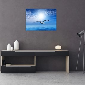 Sklenený obraz - Čajka nad morom (70x50 cm)