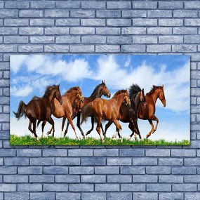 Obraz plexi Cválajúci kone na pastvine 120x60 cm
