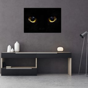Obraz - Mačacie oči (90x60 cm)