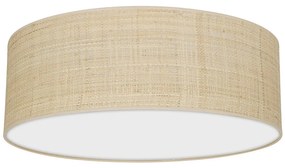 Stropné svietidlo Marshall, 1x ratanové tienidlo, (biele plexisklo), (fi 50cm)