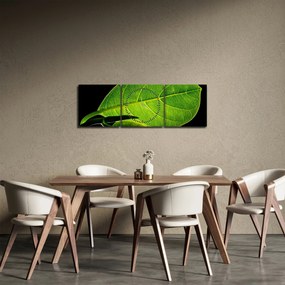 Obraz - zelený list (s hodinami) (90x30 cm)